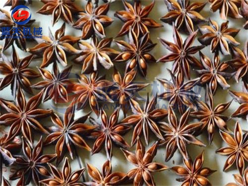 廣西八角烘干機烘干現場